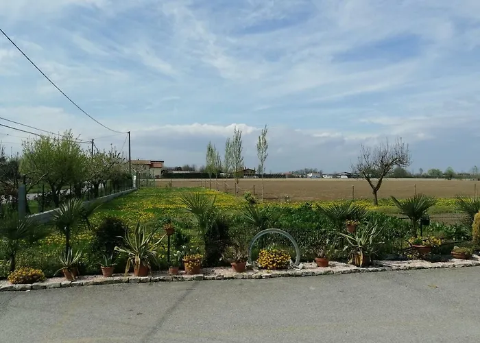La Carlottina