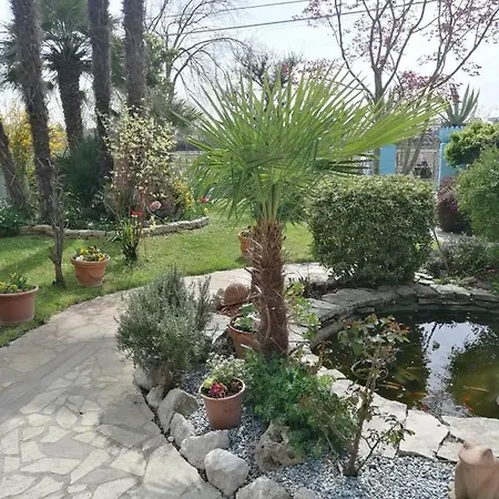La Carlottina Villa Codevigo Exterior photo